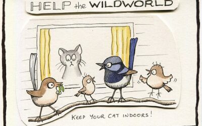 Keep your cat indoors